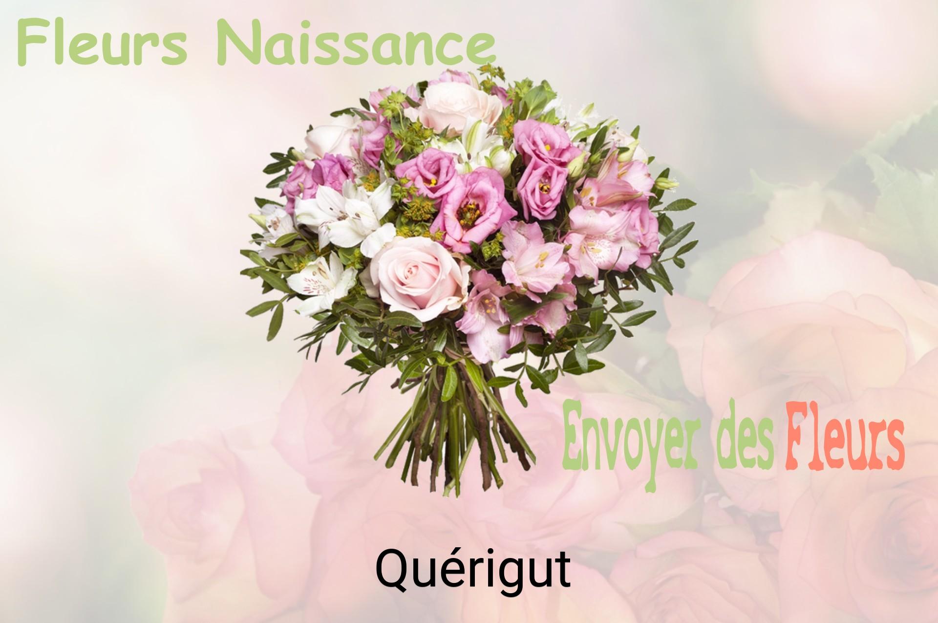 Bouquet de fleurs de naissance livré à Quérigut